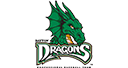 dayton dragons logo